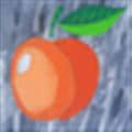 Apricot DB2.5电脑軟件