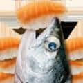 鲑鱼吃寿司v1.18