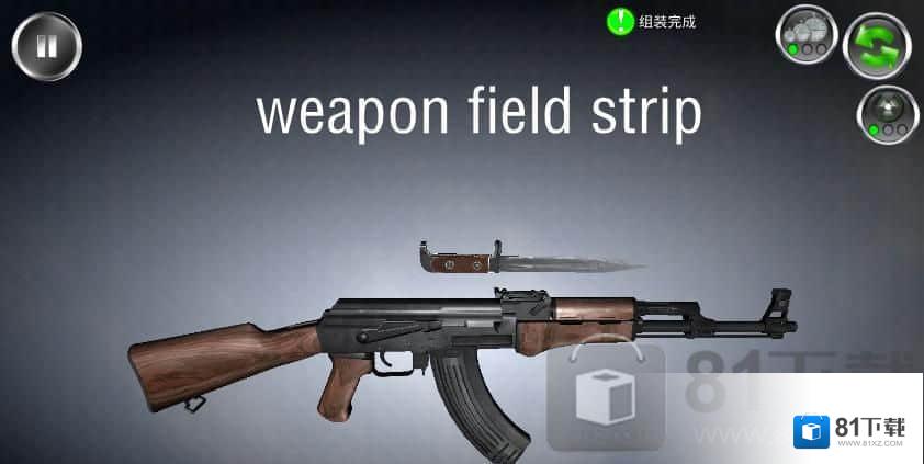 weapon field strip