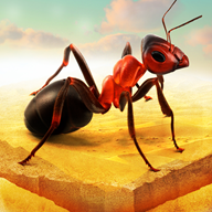 蚂蚁进化v1.4安卓版手遊遊戲