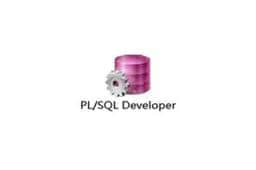 PL/SQL Developer绿色版v13.0.1.1893电脑軟件