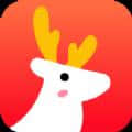 有鹿生活1.0.0安卓版