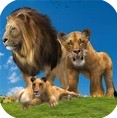 丛林王国狮子家族