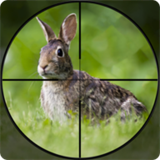 兔子狩猎模拟器v1.2