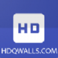 hdqwalls壁纸V1.5 安卓版