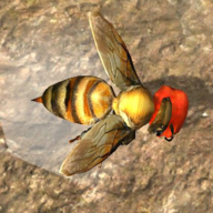 蜜蜂巢穴模拟器3dv1.0安卓版手遊遊戲