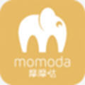 摩摩哒v2.4.1安卓版
